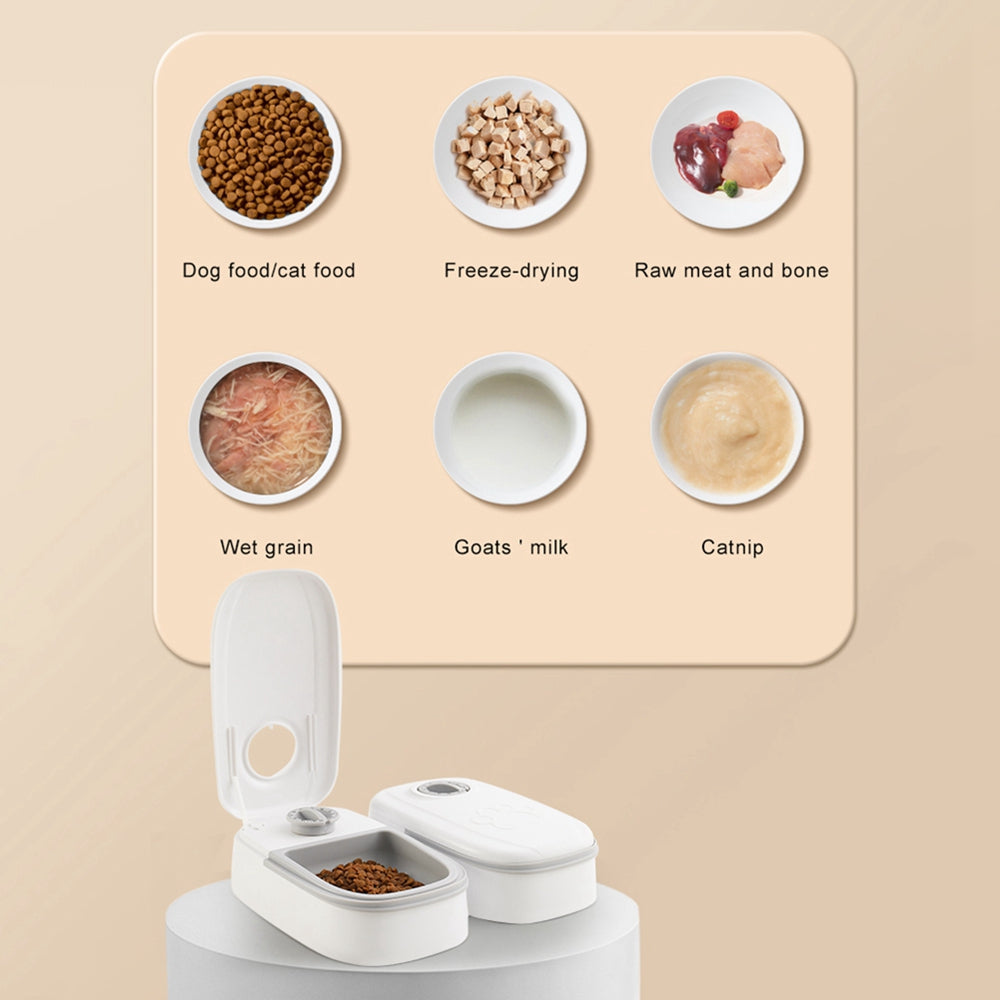 Timed Pet Feeder Bowl