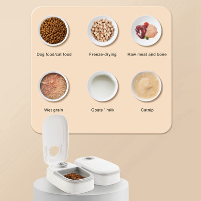 Timed Pet Feeder Bowl