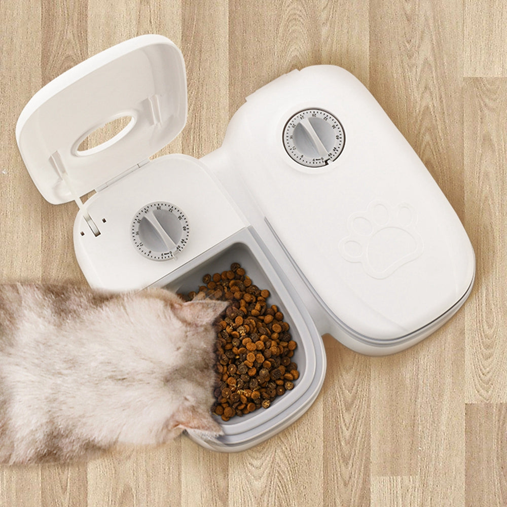 Timed Pet Feeder Bowl