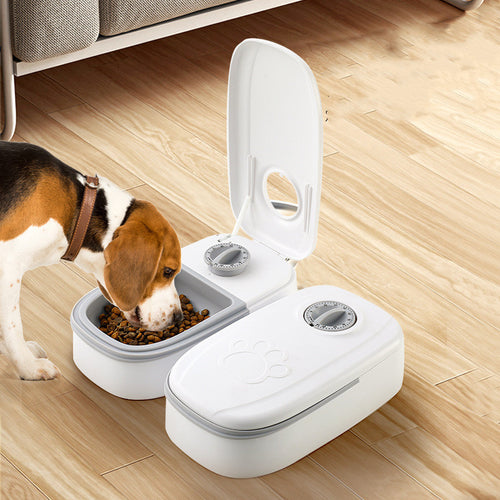 Timed Pet Feeder Bowl